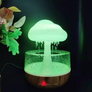 Rain Drop Humidifier